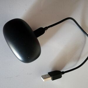 Black ear buds